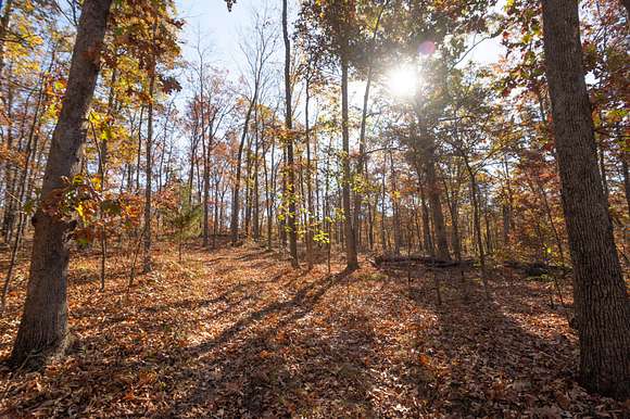 40.3 Acres of Recreational Land for Sale in Poplar Bluff, Missouri