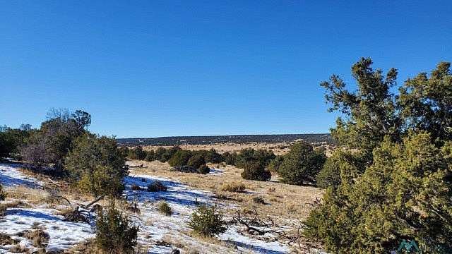21.3 Acres of Land for Sale in Quemado, New Mexico