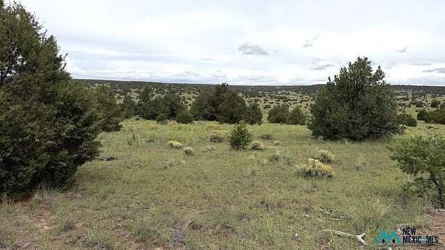 21.3 Acres of Land for Sale in Quemado, New Mexico