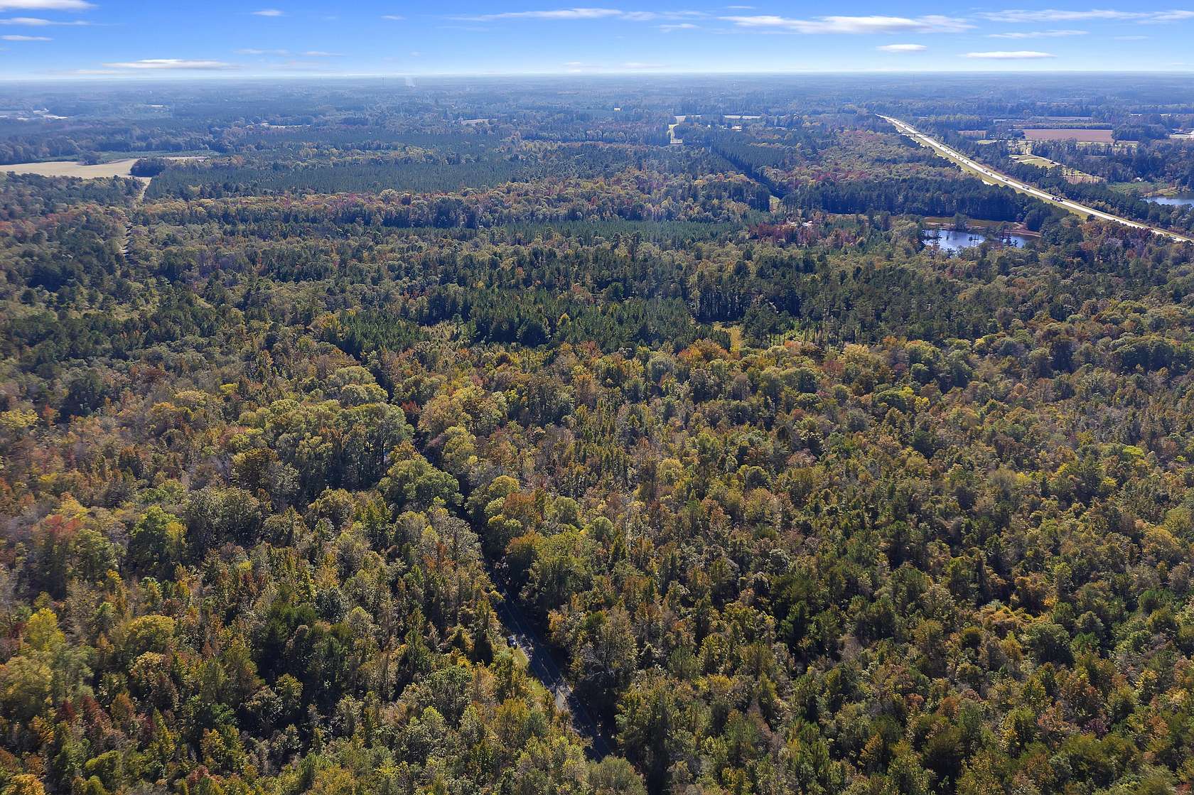 42.8 Acres of Land for Sale in St. George, South Carolina