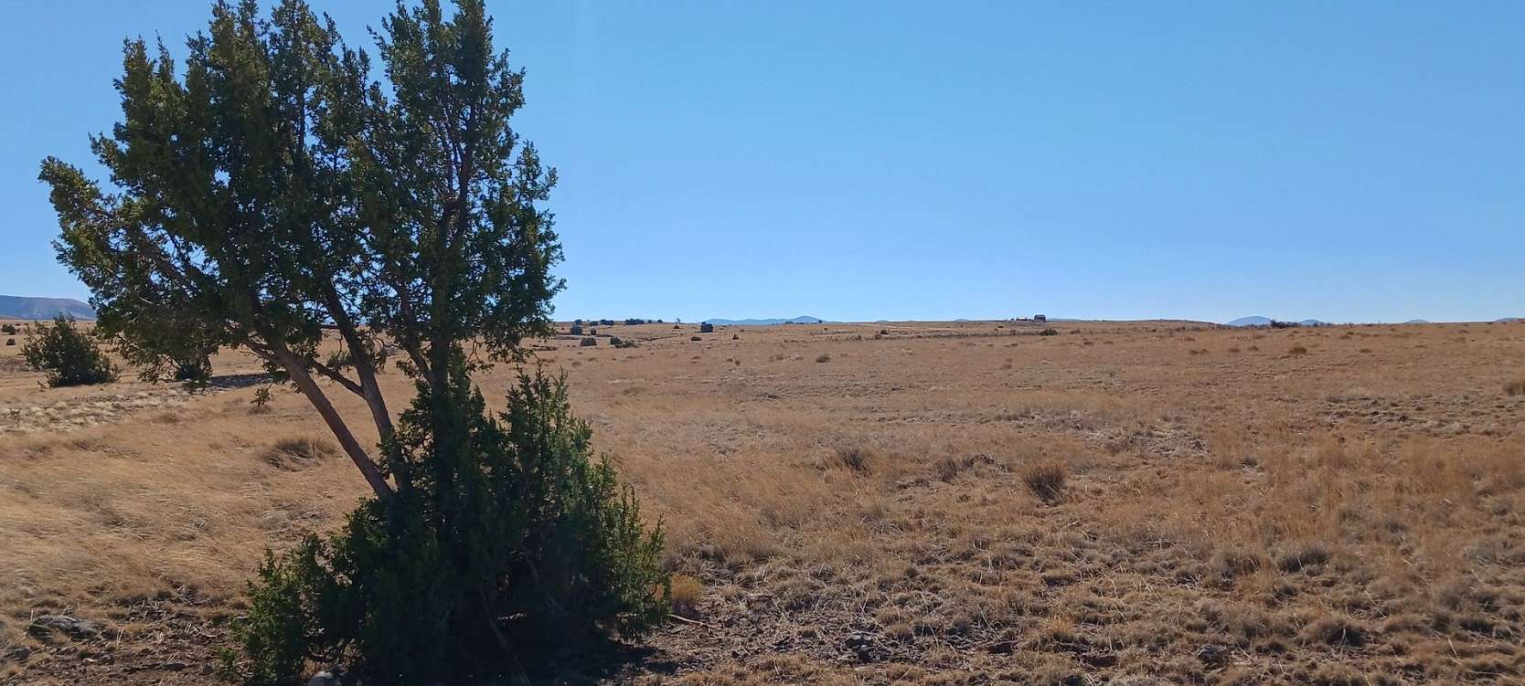 1.4 Acres of Residential Land for Sale in Sanders, Arizona