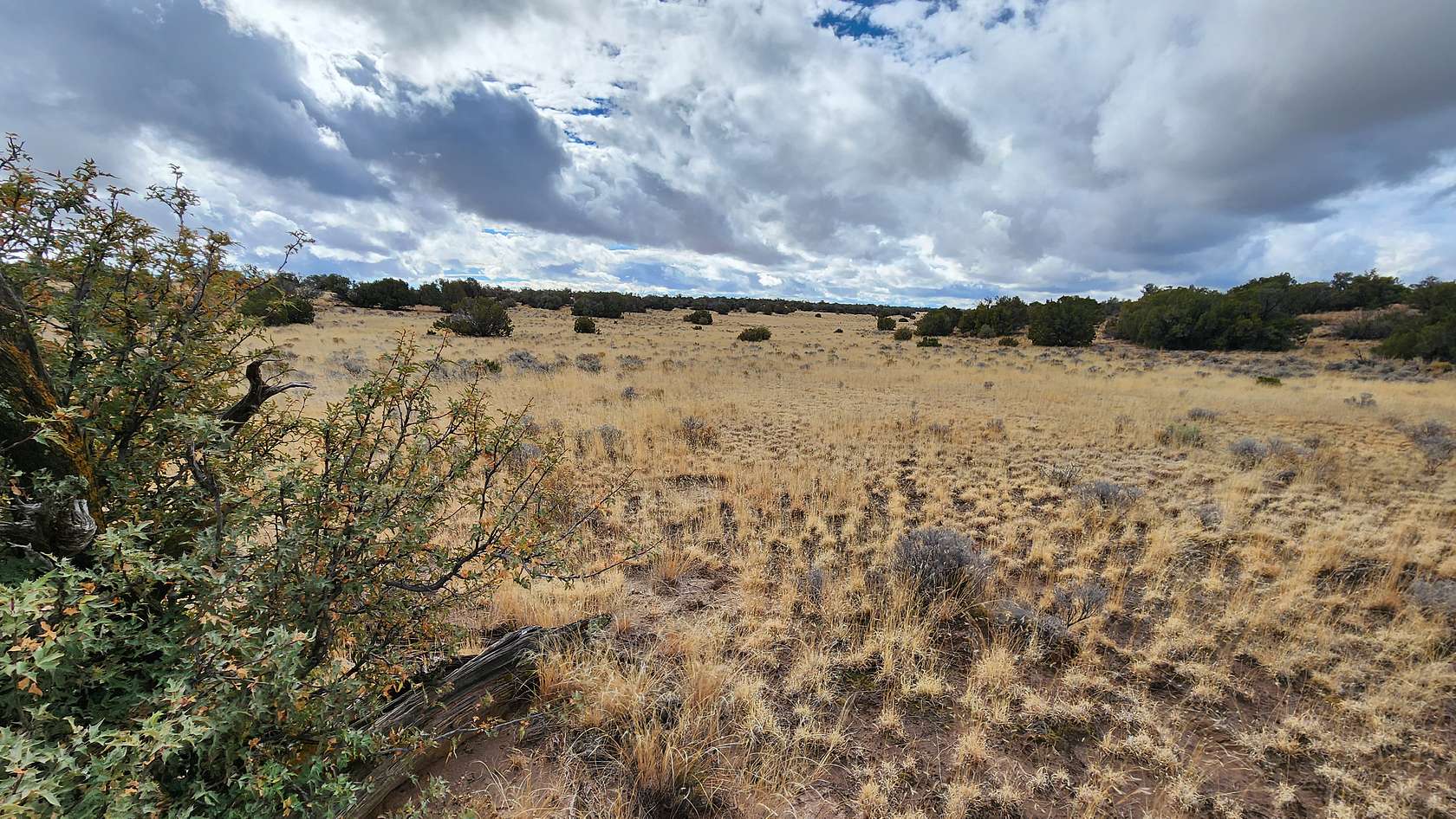 1 Acre of Residential Land for Sale in Sanders, Arizona