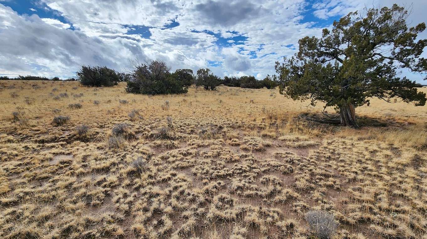 1 Acre of Residential Land for Sale in Sanders, Arizona