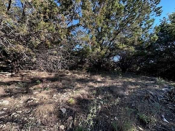 0.24 Acres of Residential Land for Sale in Lago Vista, Texas