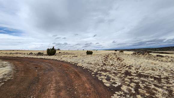 1 Acre of Residential Land for Sale in Chambers, Arizona