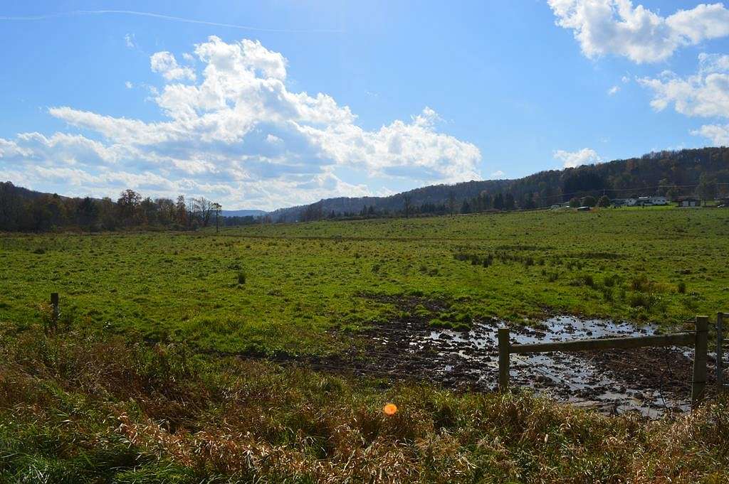 26.8 Acres of Agricultural Land for Sale in Shinglehouse, Pennsylvania