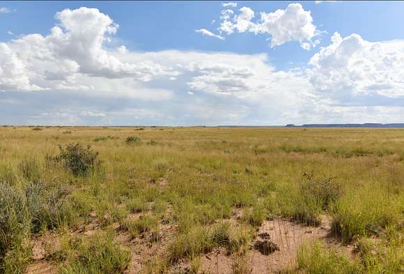 1.1 Acres of Residential Land for Sale in Chambers, Arizona
