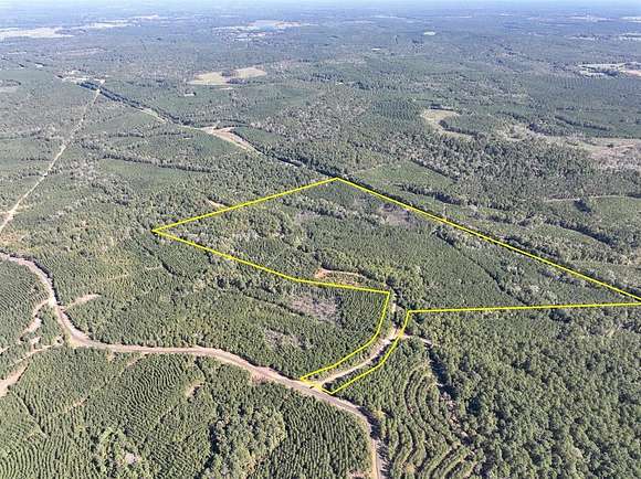 145 Acres of Recreational Land for Sale in Center, Texas