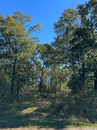 28 Acres of Recreational Land & Farm for Sale in Lucedale, Mississippi