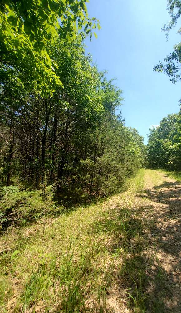 0.16 Acres of Residential Land for Sale in Diamond City, Arkansas