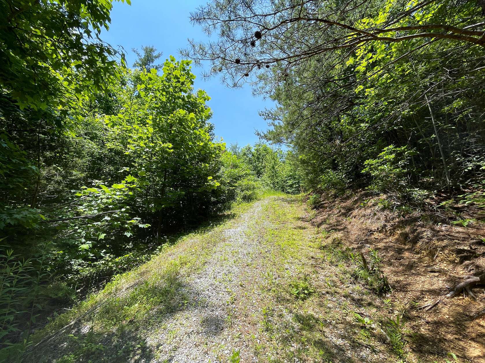 1.1 Acres of Residential Land for Sale in Cosby, Tennessee