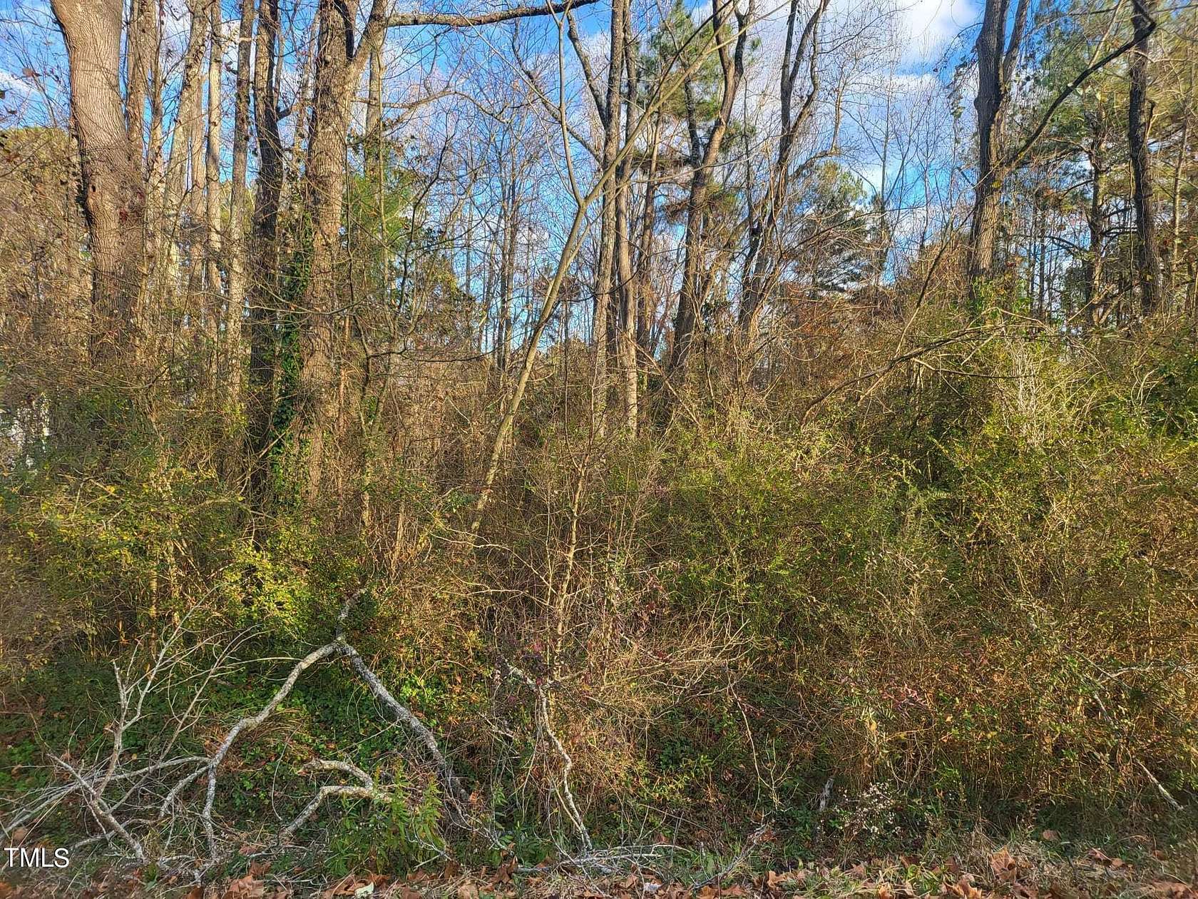 0.27 Acres of Residential Land for Sale in Elm City, North Carolina