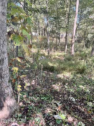 0.5 Acres of Residential Land for Sale in Madisonville, Tennessee