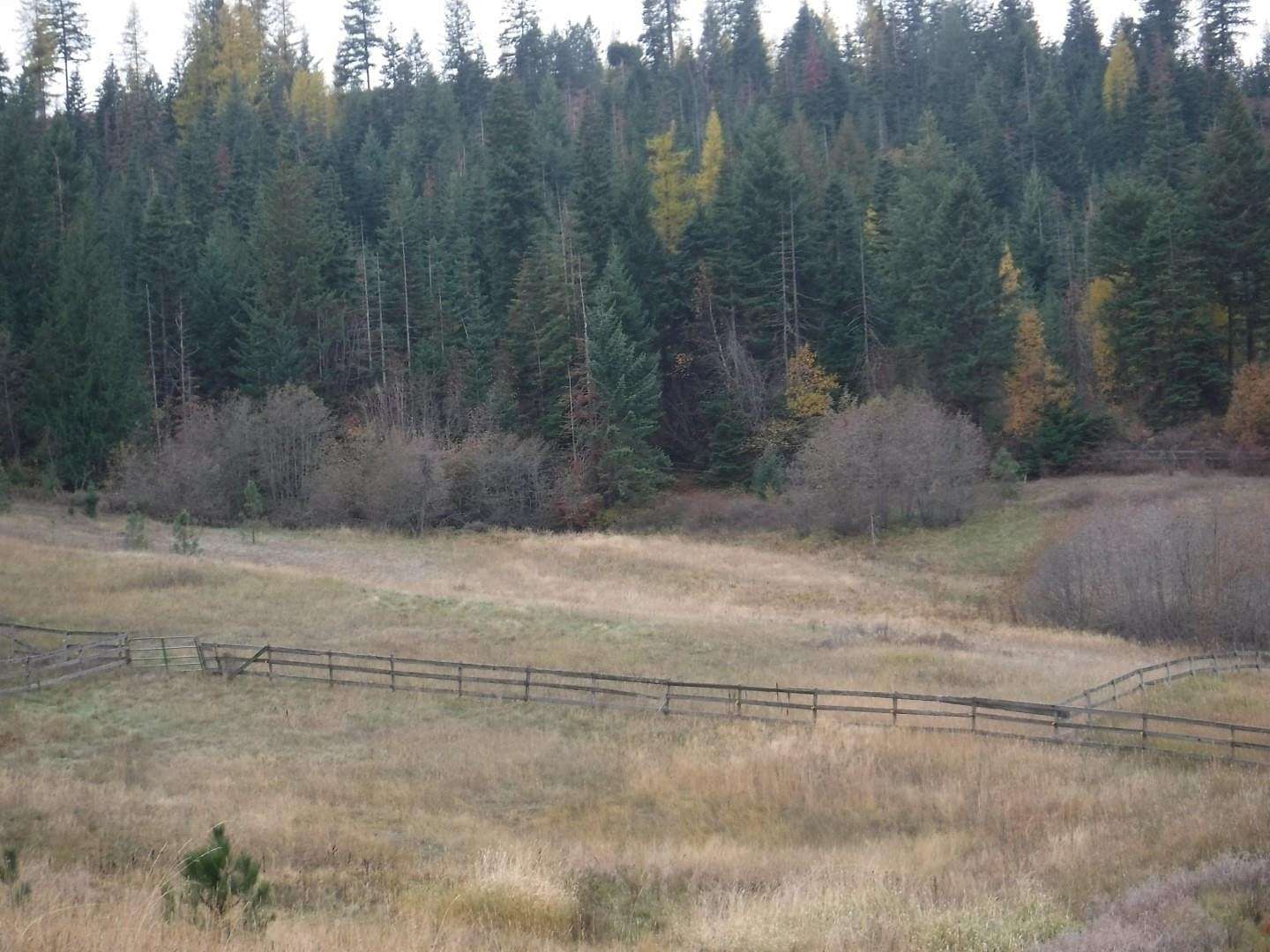 10 Acres of Residential Land for Sale in Mead, Washington