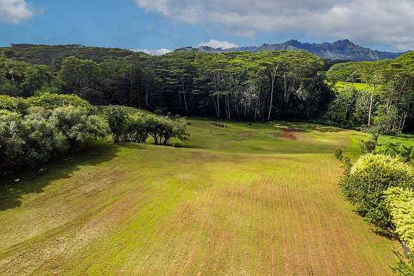 3.3 Acres of Land for Sale in Kilauea, Hawaii