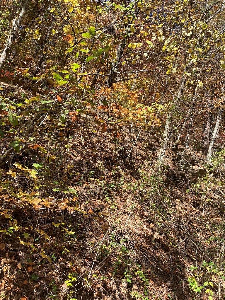 2.9 Acres of Residential Land for Sale in Sevierville, Tennessee