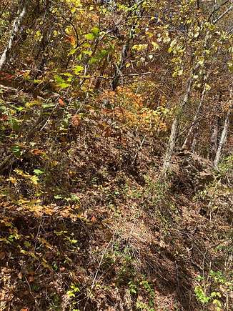 2.9 Acres of Residential Land for Sale in Sevierville, Tennessee