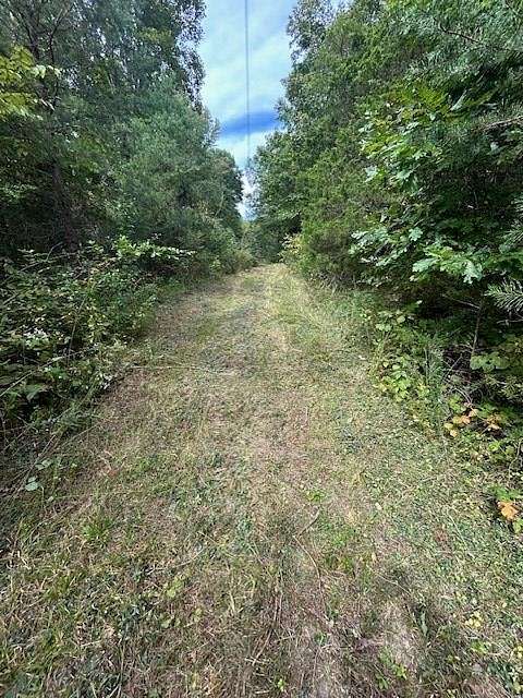 Land for Sale in Allons, Tennessee
