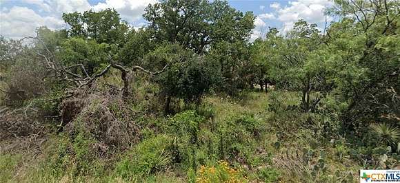 0.46 Acres of Residential Land for Sale in Granite Shoals, Texas