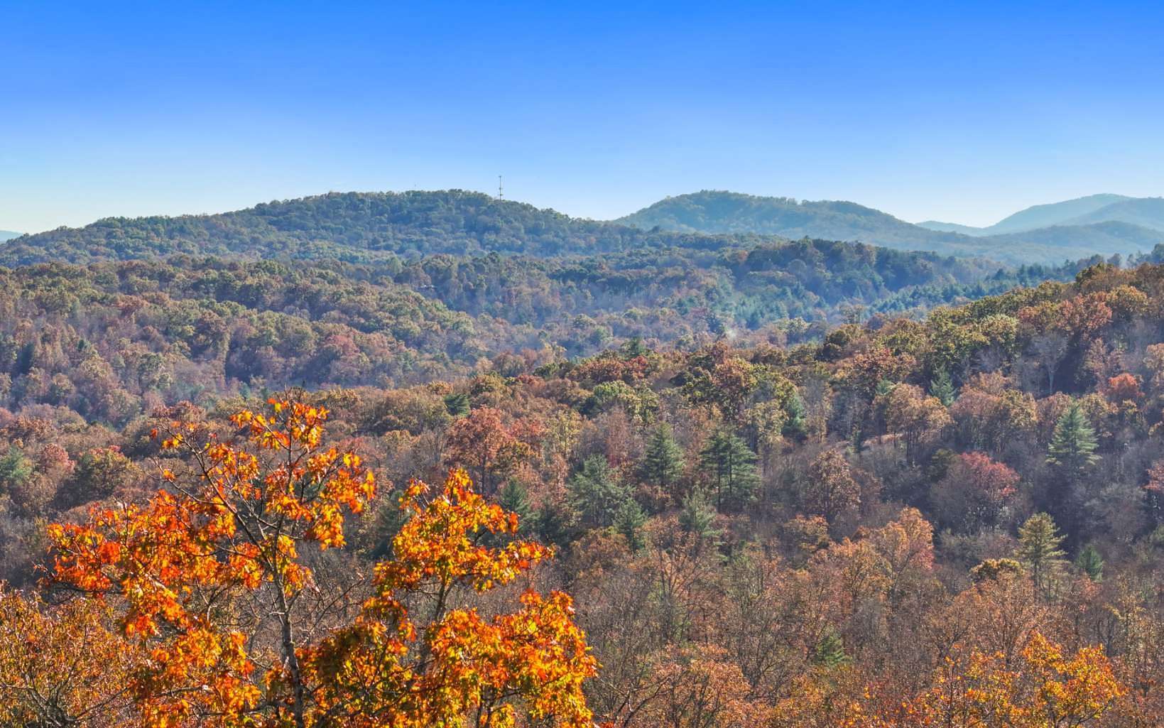 0.77 Acres of Land for Sale in Blue Ridge, Georgia