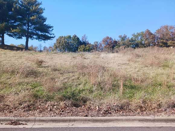 0.21 Acres of Residential Land for Sale in Hollister, Missouri