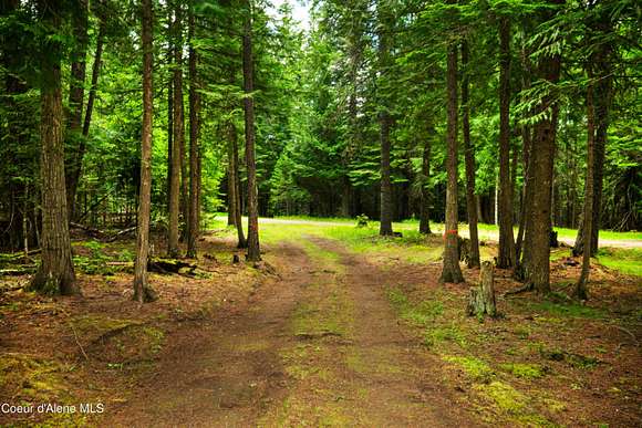9.75 Acres of Land for Sale in Careywood, Idaho