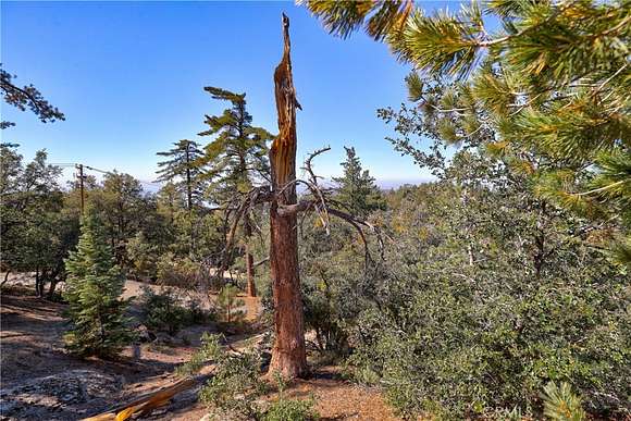 0.1 Acres of Residential Land for Sale in Idyllwild, California