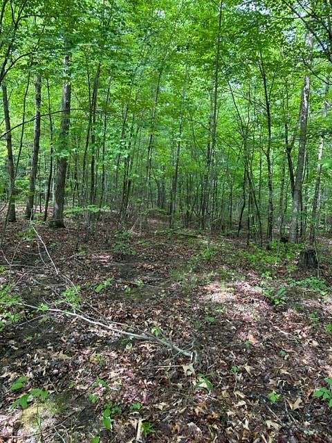 6 Acres of Land for Sale in Jamestown, Tennessee