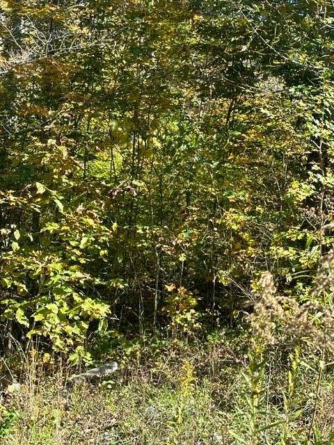 5.3 Acres of Land for Sale in Jamestown, Tennessee