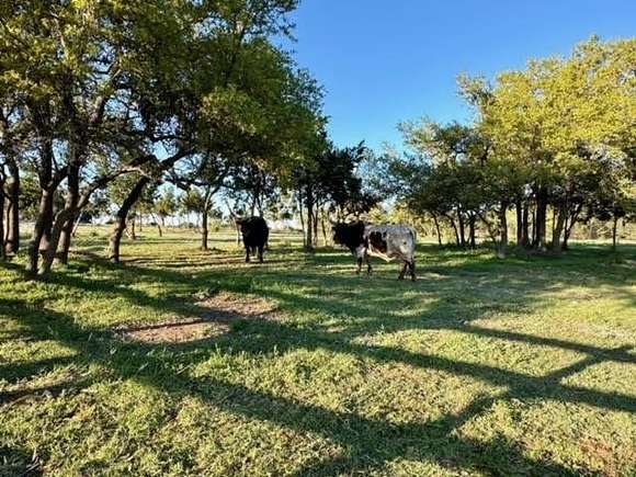 12 Acres of Land for Sale in Dripping Springs, Texas