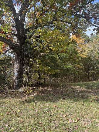 10 Acres of Land for Sale in Stamping Ground, Kentucky