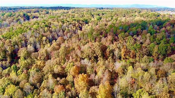 27 Acres of Agricultural Land for Sale in Ronda, North Carolina