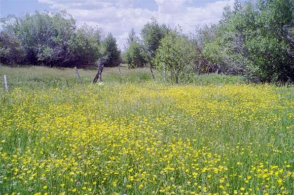 201 Acres of Land for Sale in Villa Grove, Colorado