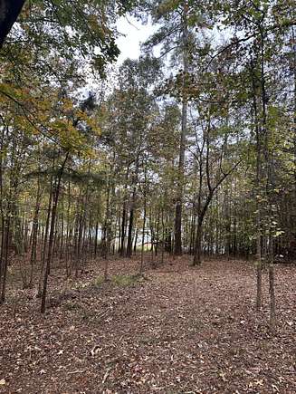 1 Acre of Residential Land for Sale in Tignall, Georgia
