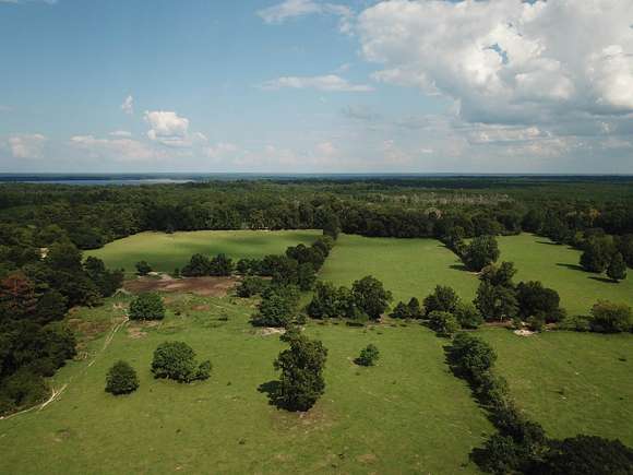 113 Acres of Improved Land for Sale in Woodville, Texas