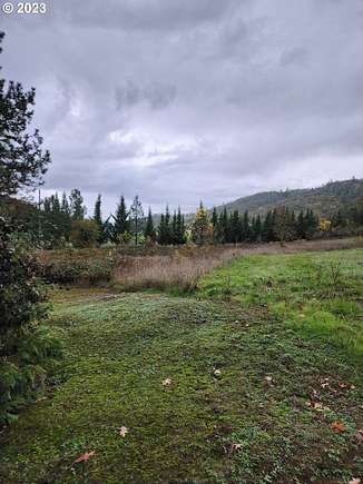 0.25 Acres of Residential Land for Sale in Riddle, Oregon