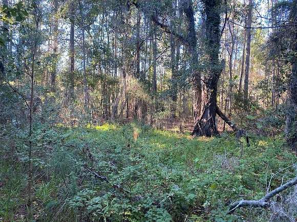 52 Acres of Land for Sale in Quitman, Georgia