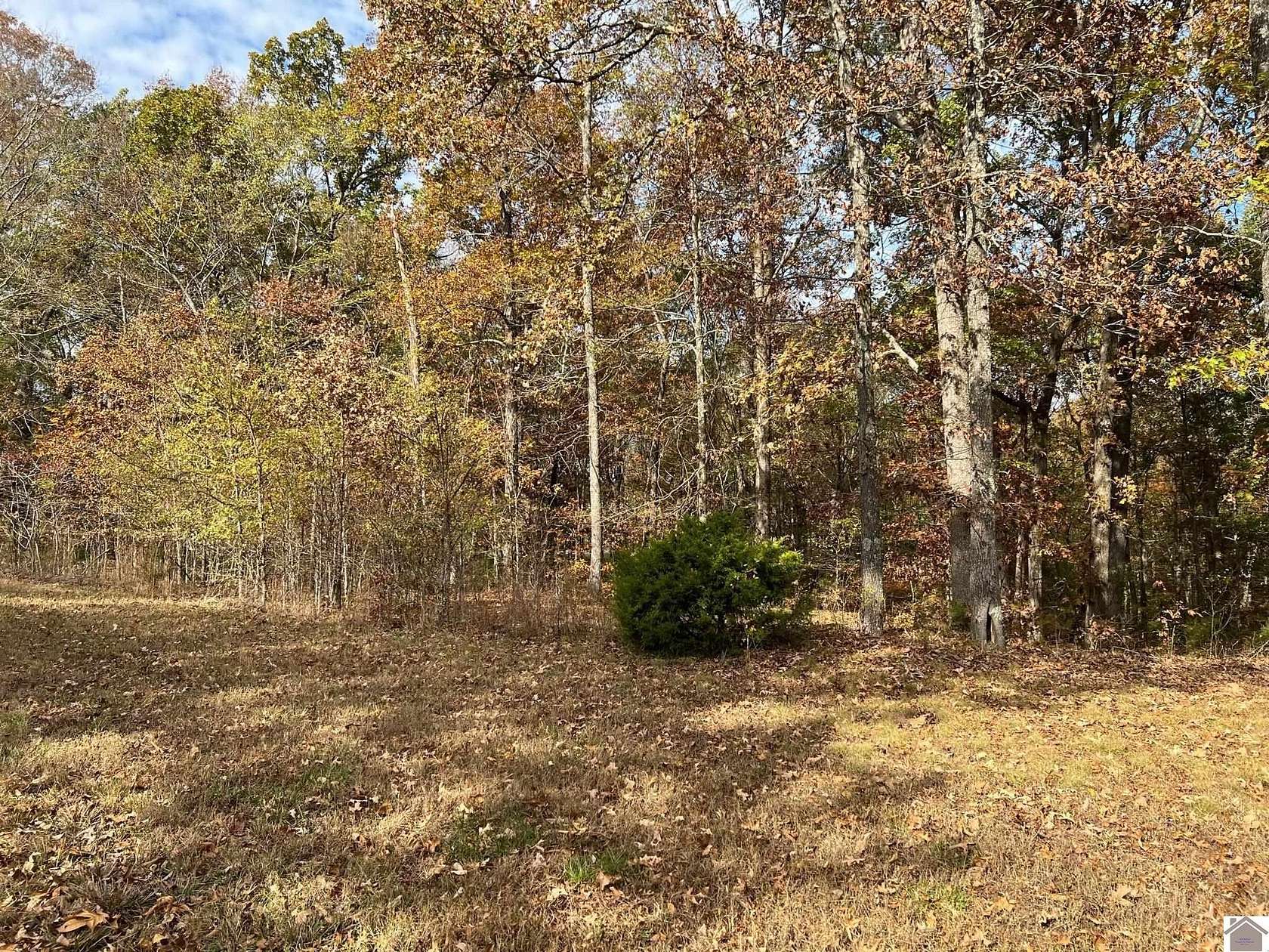 1 Acre of Residential Land for Sale in Murray, Kentucky