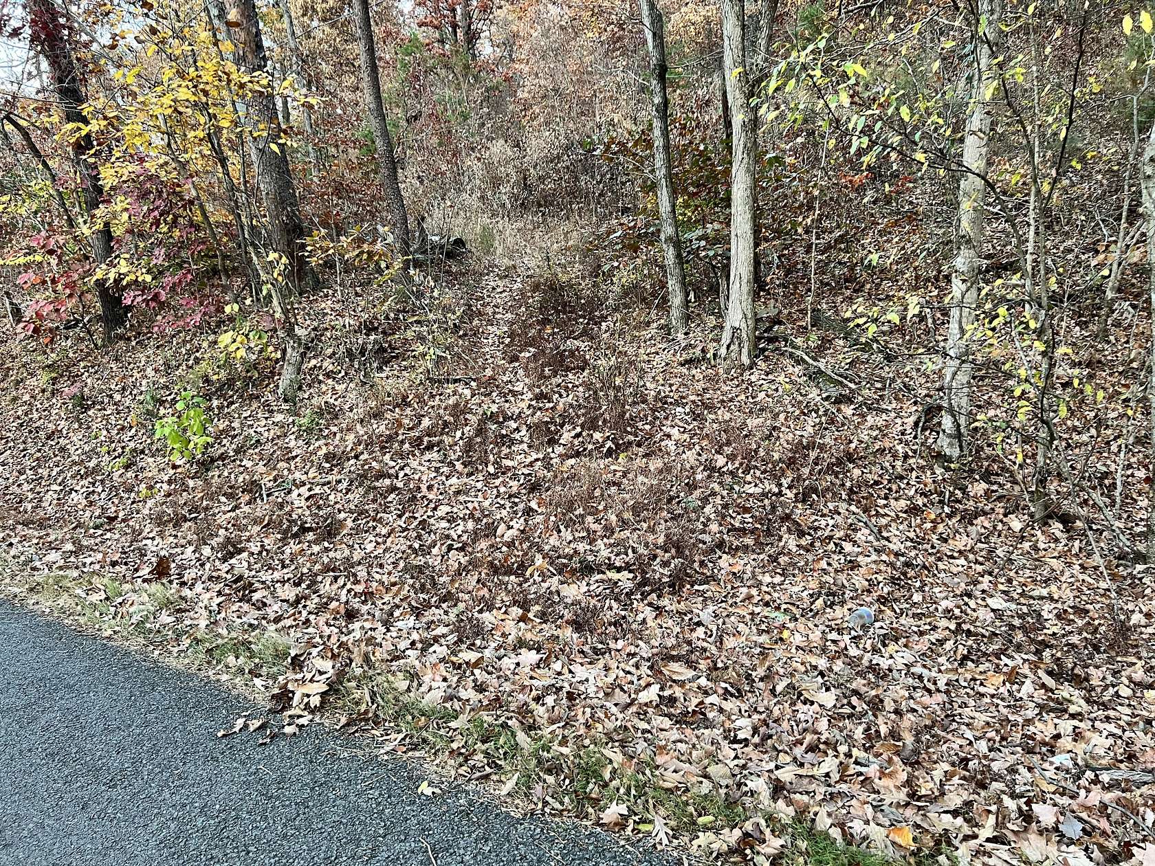 19 Acres of Land for Sale in Morristown, Tennessee