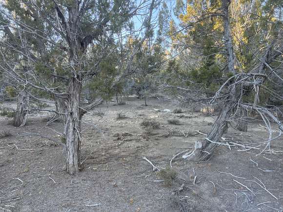 20 12 Acres Of Land For Sale In Kanab Utah LandSearch   Kanab Ut 111568147 