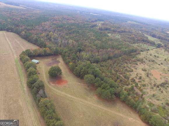 50.3 Acres of Agricultural Land for Sale in Yatesville, Georgia