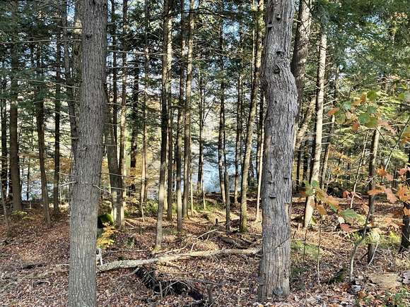 0.56 Acres of Residential Land for Sale in Hartland, Maine