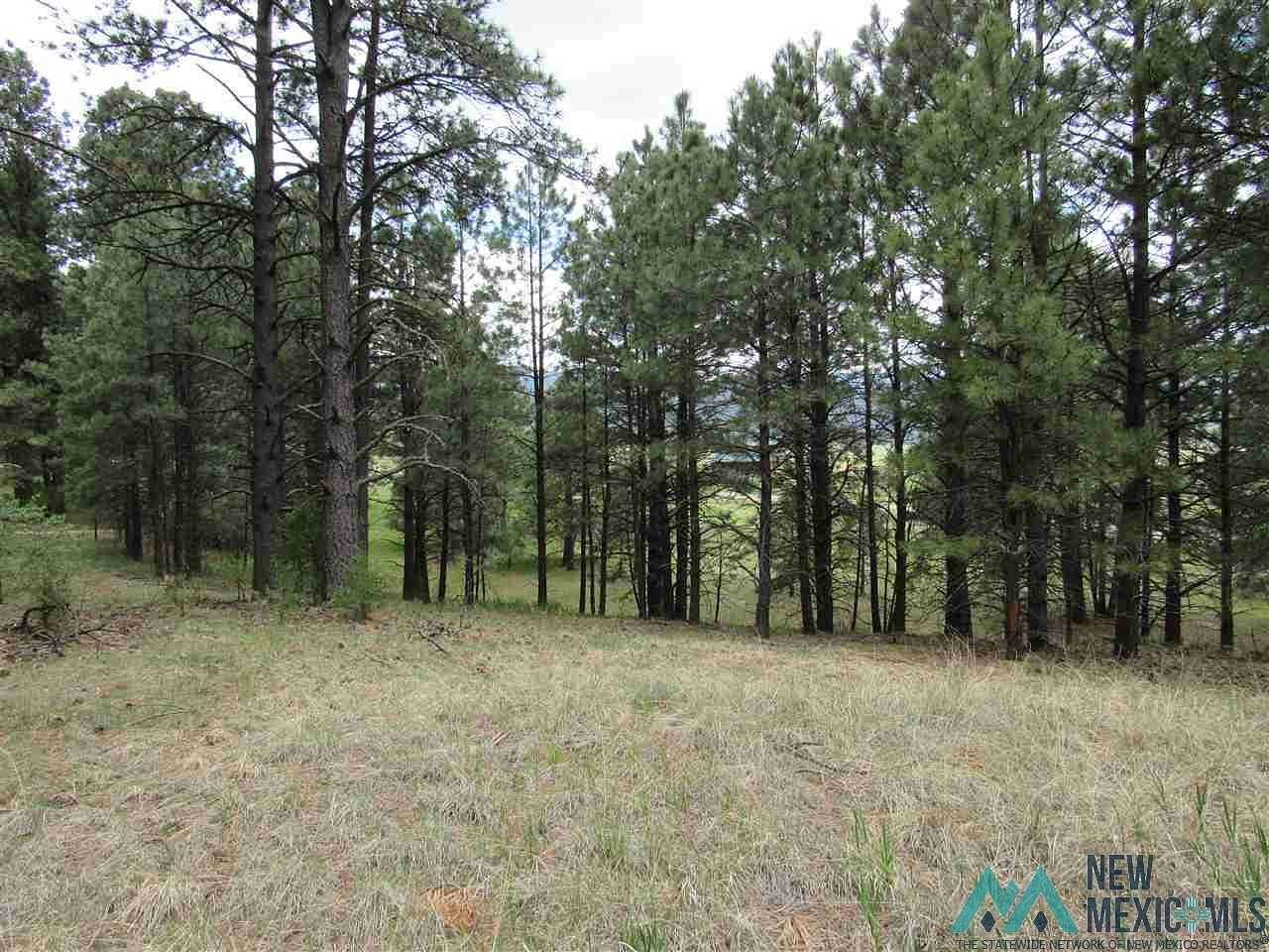2.5 Acres of Residential Land for Sale in Rociada, New Mexico