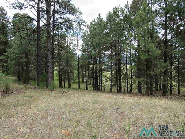 2.5 Acres of Land for Sale in Rociada, New Mexico