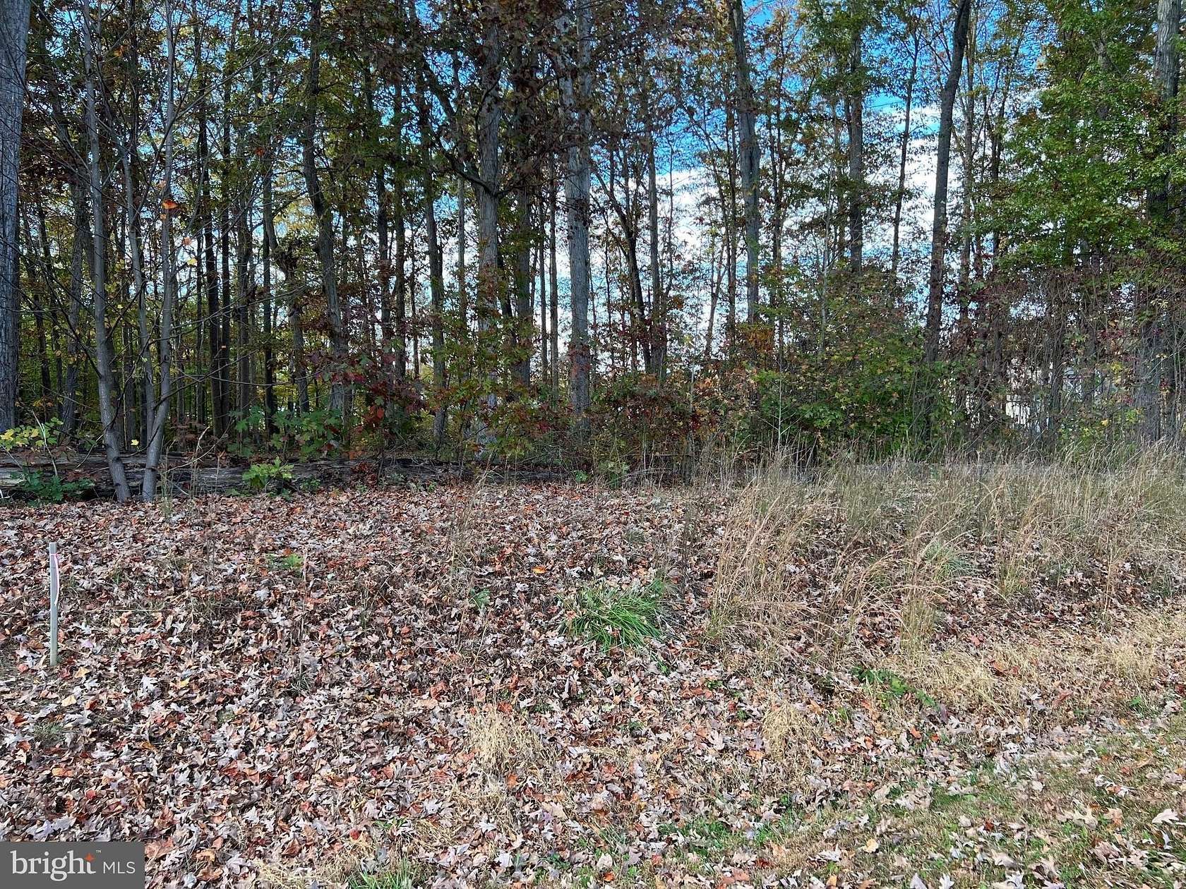 0.93 Acres of Land for Sale in Bumpass, Virginia