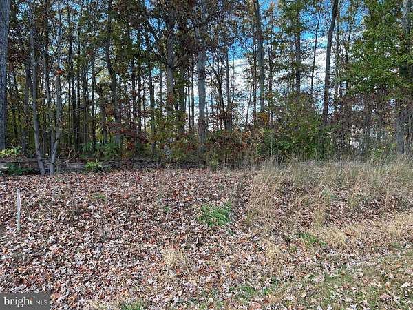 0.93 Acres of Land for Sale in Bumpass, Virginia