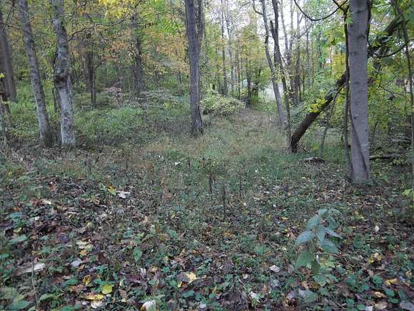 20 Acres of Land for Sale in Mount Clare, West Virginia - LandSearch