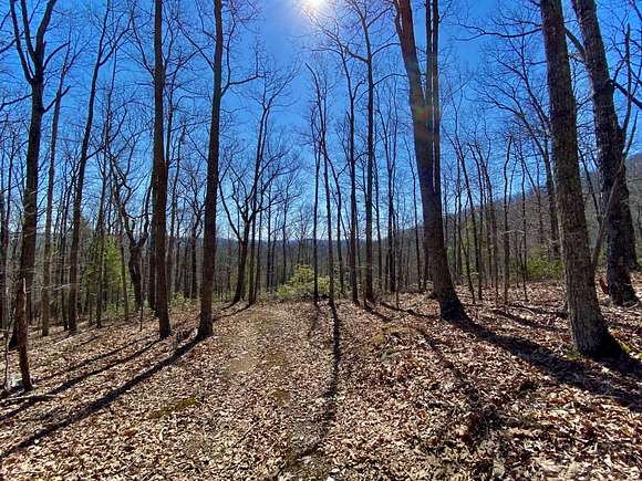 79.5 Acres of Recreational Land for Sale in Indian Valley, Virginia