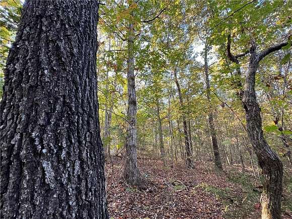 12.3 Acres of Land for Sale in Camp Hill, Alabama