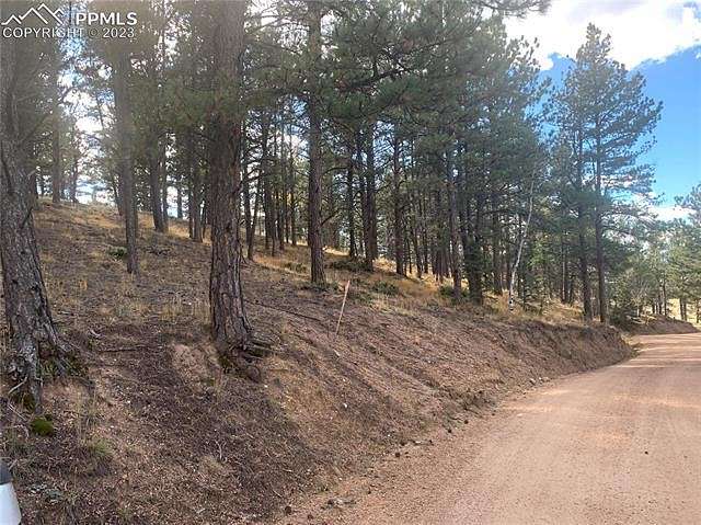 0.55 Acres of Land for Sale in Florissant, Colorado